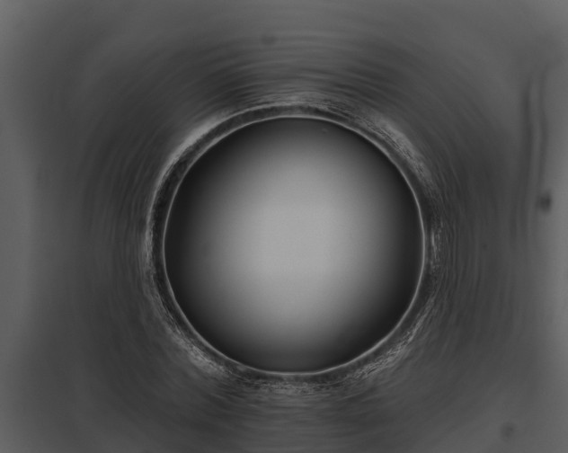 X0000097950780200804011633