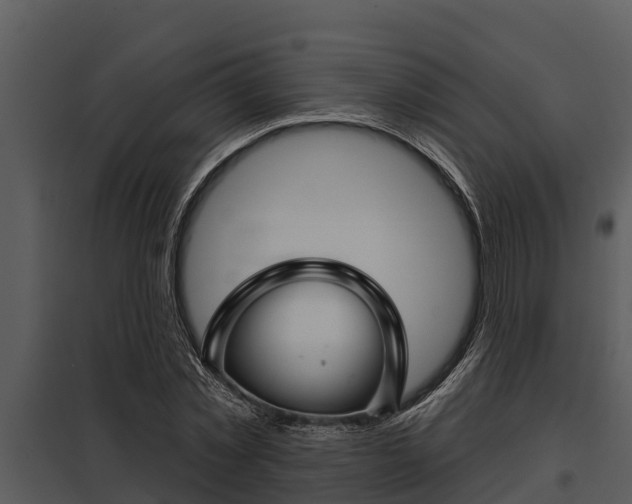 X0000097950781200804011633