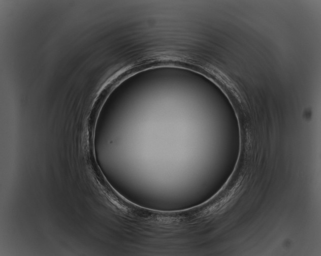 X0000097950782200804011633