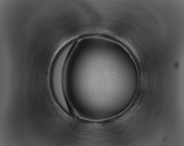 X0000097950783200804011633