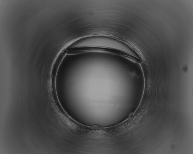X0000097950784200804011633