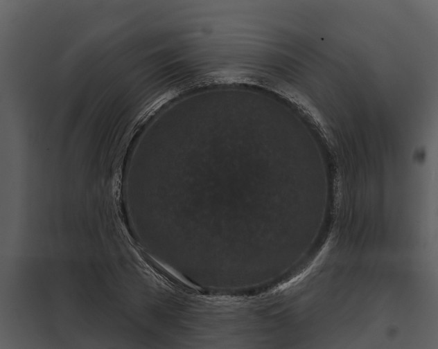 X0000097950785200804011633