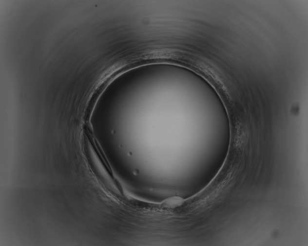 X0000097950786200804011633