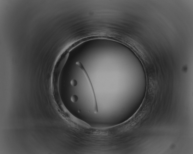 X0000097950788200804011633