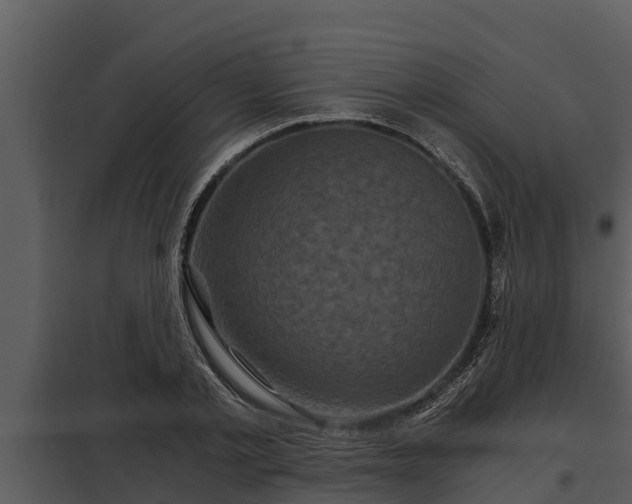X0000097950789200804011633