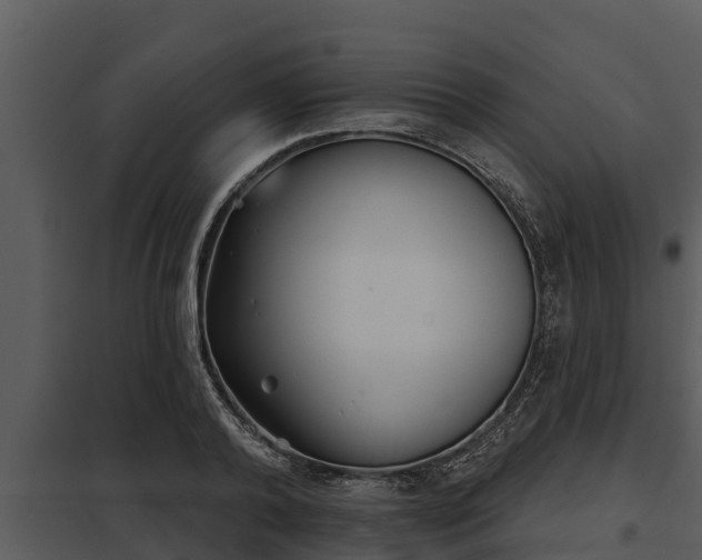 X0000097950792200804011633