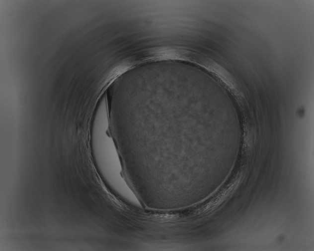 X0000097950793200804011633