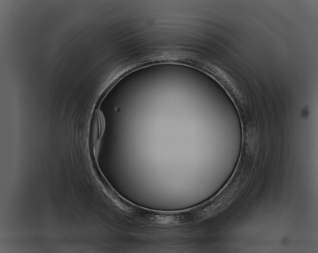 X0000097950794200804011633