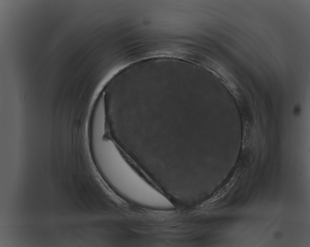 X0000097950796200804011633