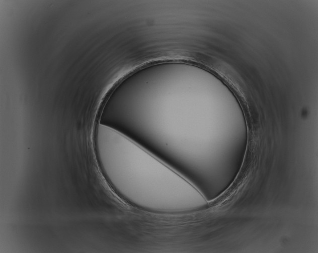 X0000097950797200804011633
