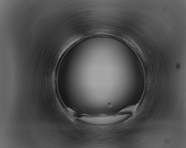 X0000097950798200804011633