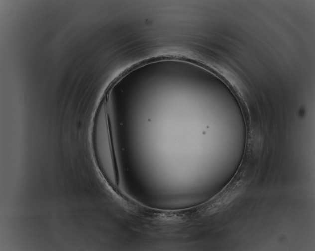 X0000097950799200804011633