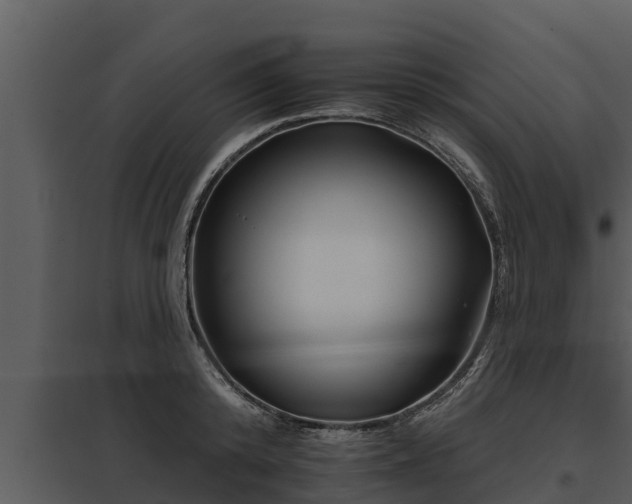 X0000097950800200804011633
