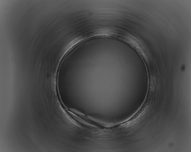 X0000097950802200804011633