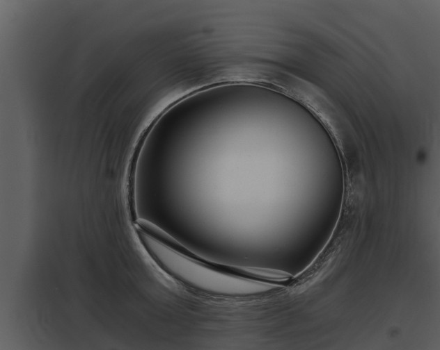 X0000097950803200804011633