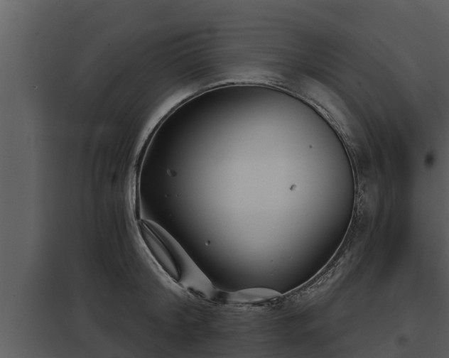 X0000097950804200804011633
