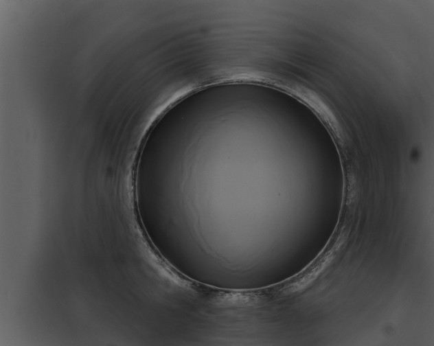 X0000097950806200804011633