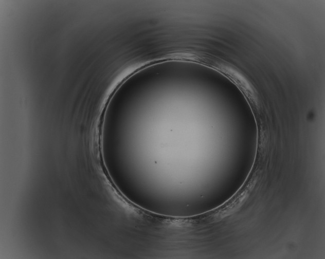 X0000097950808200804011633