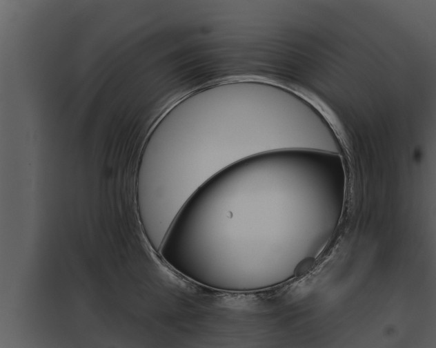 X0000097950809200804011633