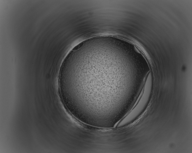 X0000097950810200804011633