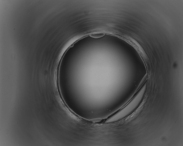 X0000097950812200804011633