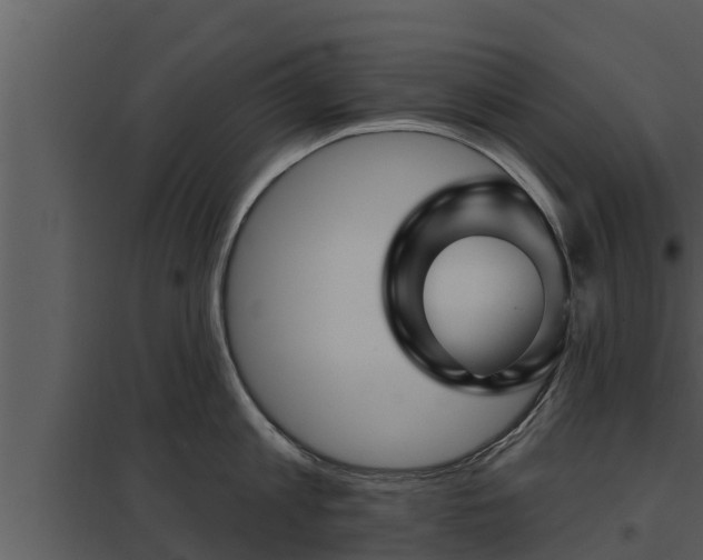 X0000097950813200804011633