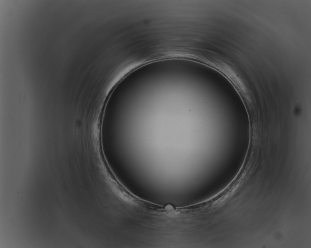 X0000097950814200804011633