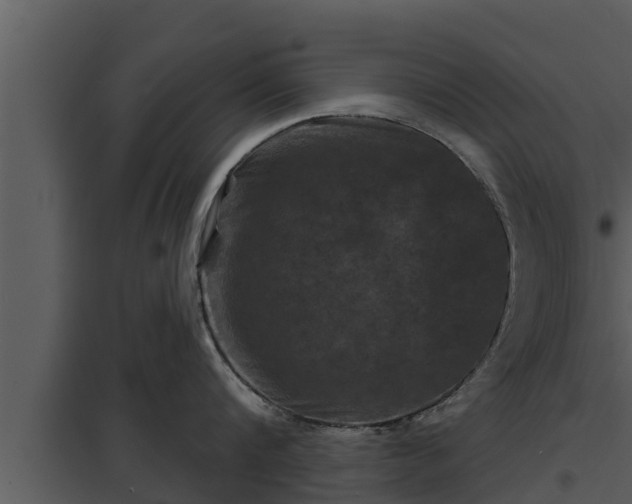 X0000097950816200804011633