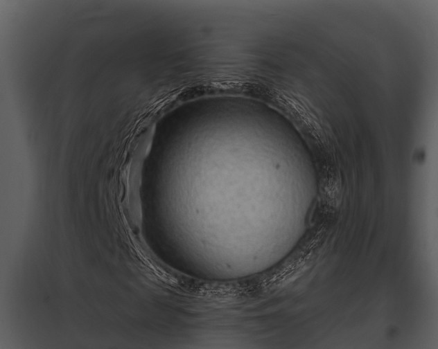 X0000097950817200804011632