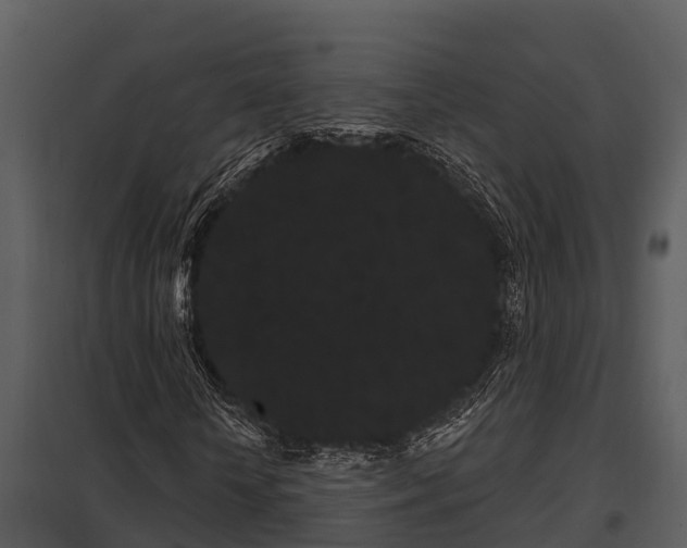X0000097950818200804011632