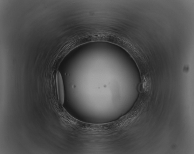 X0000097950819200804011632