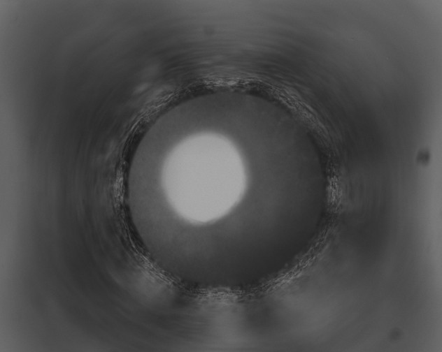 X0000097950820200804011632