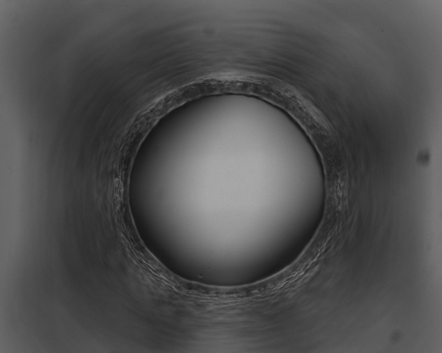 X0000097950821200804011632