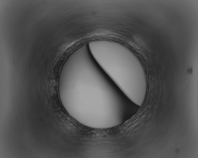 X0000097950822200804011632