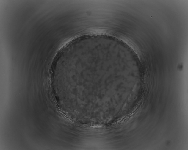 X0000097950823200804011632