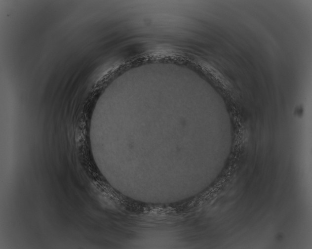 X0000097950824200804011632