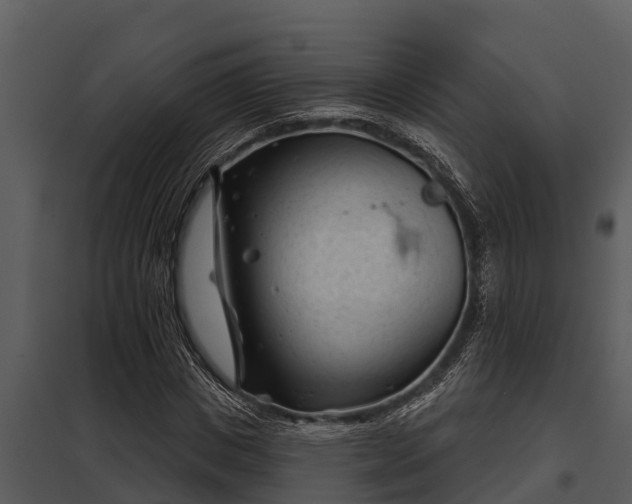 X0000097950825200804011632
