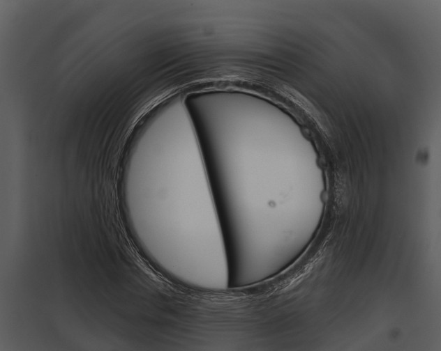 X0000097950826200804011632