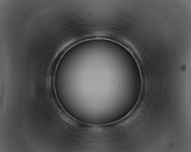 X0000097950827200804011632