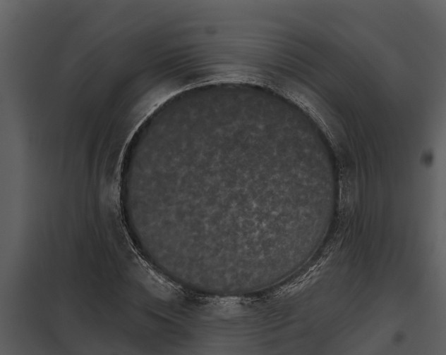 X0000097950828200804011632