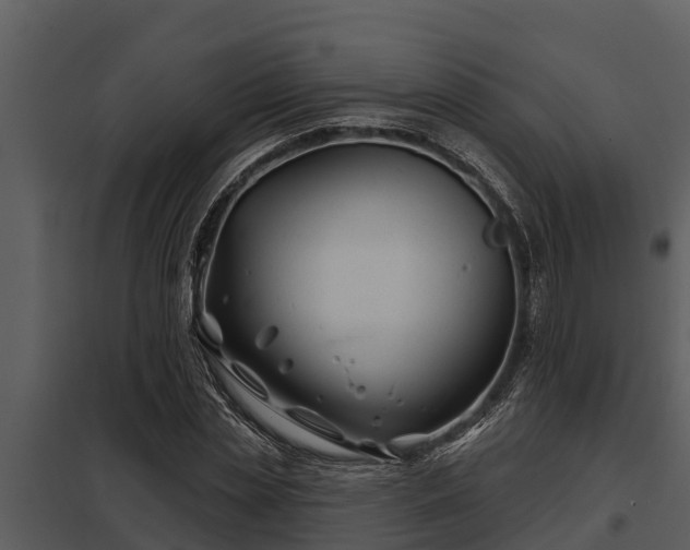 X0000097950829200804011632