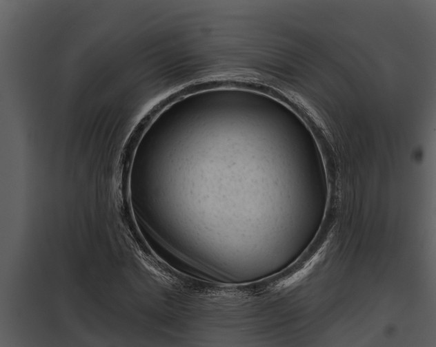 X0000097950830200804011632