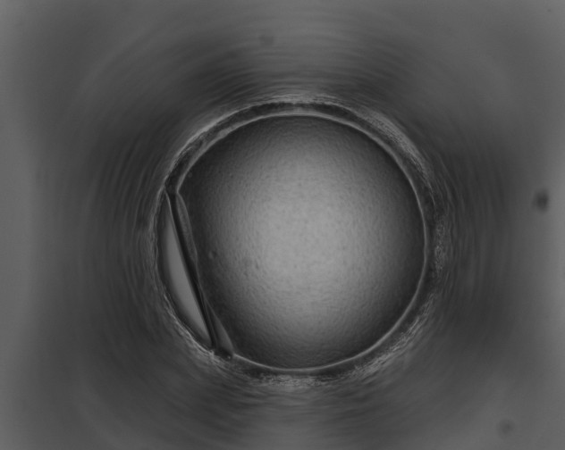 X0000097950831200804011632