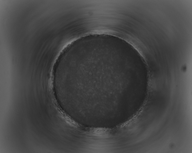 X0000097950832200804011632