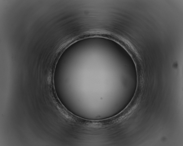 X0000097950833200804011632