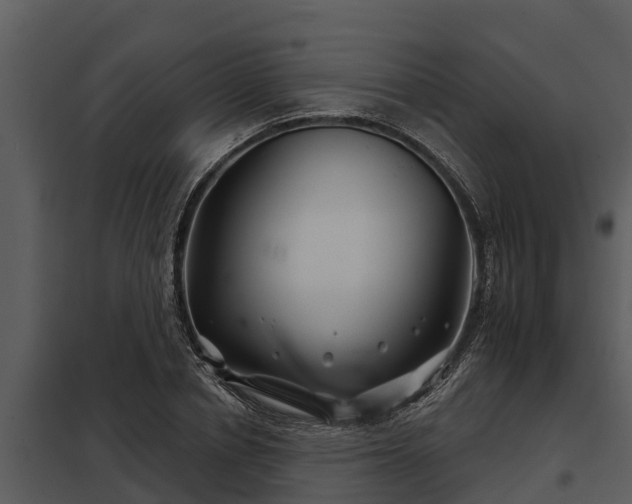 X0000097950834200804011632
