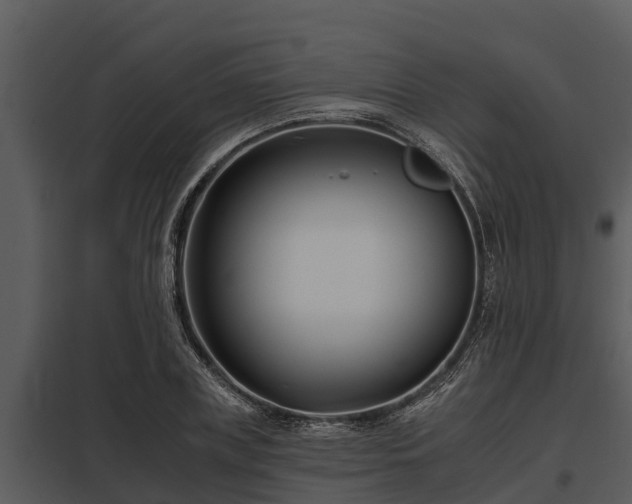 X0000097950835200804011632