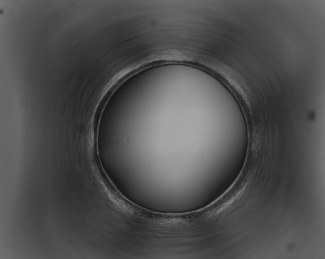 X0000097950837200804011632