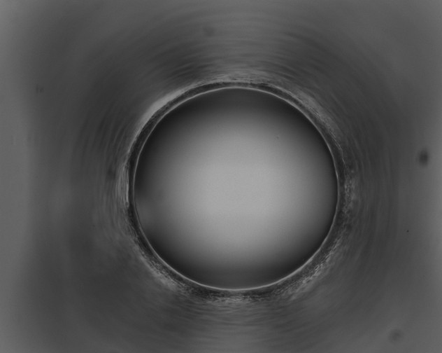 X0000097950838200804011632