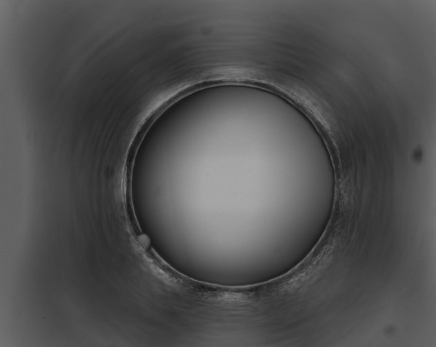 X0000097950839200804011632